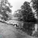 Fishing, River Wharfe, Burnsall